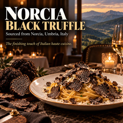 Premium Italian Black Winter Truffle-Finds