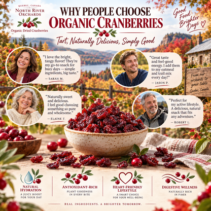 Premium Canadian Organic Wild Dried Cranberries – Antioxidant Superfood Snack 🇨🇦-Finds