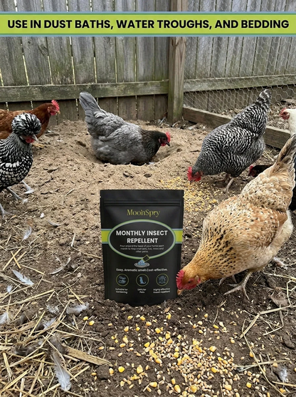 🌱⏰Stop Bugs in Their Tracks🔥 — Safe for Pets & Plants🐜-Viral