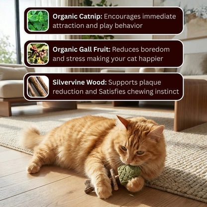 Catnip & Silvervine Chew-edition